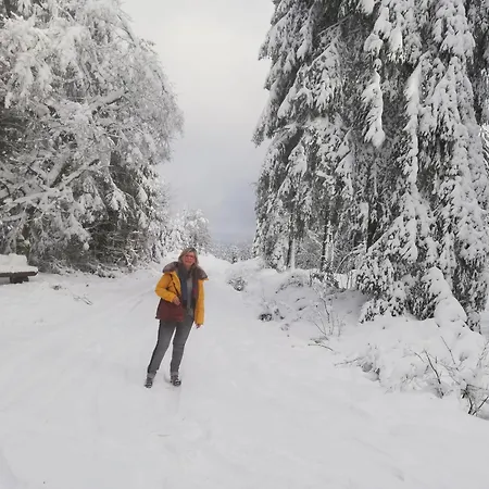 Eifel24, Homeoffice Mit Terrasse Apartment