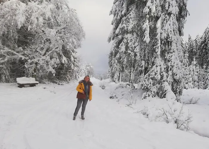 Eifel24, Homeoffice Mit Terrasse Apartmán